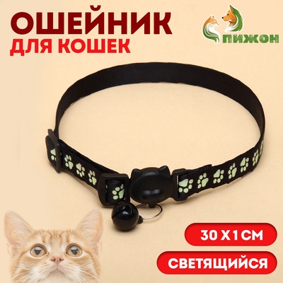 Ошейник кошачий «Душечка» светящийся, с бубенчиком, 30×1 см, полиэстер, черный