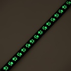 Ошейник кошачий «Душечка» светящийся, с бубенчиком, 30×1 см, полиэстер, черный - Фото 8