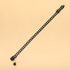 Ошейник кошачий «Душечка» светящийся, с бубенчиком, 30×1 см, полиэстер, черный - Фото 5