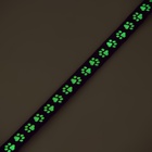 Ошейник кошачий "Душечка" светящийся, с бубенчиком, 30 х 1 см, полиэстер, фиолетовый - Фото 8