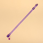 Ошейник кошачий "Душечка" светящийся, с бубенчиком, 30 х 1 см, полиэстер, фиолетовый - Фото 5