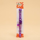 Ошейник кошачий "Душечка" светящийся, с бубенчиком, 30 х 1 см, полиэстер, фиолетовый - Фото 6