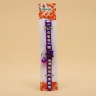 Ошейник кошачий "Душечка" светящийся, с бубенчиком, 30 х 1 см, полиэстер, фиолетовый - Фото 7