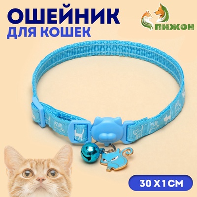 Ошейник кошачий "Киска", с бубенчиком и подвесом, 30 х 1 см, полиэстер, голубой