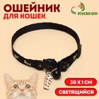 Ошейник кошачий "Рыбёшка" светящийся, с бубенчиком и подвесом, 30 х 1 см, полиэстер, черный 106710 - Фото 1