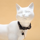 Ошейник кошачий "Рыбёшка" светящийся, с бубенчиком и подвесом, 30 х 1 см, полиэстер, черный 106710 - Фото 3