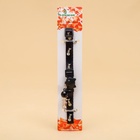 Ошейник кошачий "Рыбёшка" светящийся, с бубенчиком и подвесом, 30 х 1 см, полиэстер, черный 106710 - Фото 6