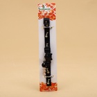 Ошейник кошачий "Рыбёшка" светящийся, с бубенчиком и подвесом, 30 х 1 см, полиэстер, черный 106710 - Фото 7