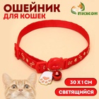 Ошейник кошачий "Лапка" светящийся, с бубенчиком и подвесом, 30х1 см, полиэстер, красный - Фото 1