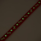 Ошейник кошачий "Лапка" светящийся, с бубенчиком и подвесом, 30х1 см, полиэстер, красный - Фото 8