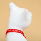 Ошейник кошачий "Лапка" светящийся, с бубенчиком и подвесом, 30х1 см, полиэстер, красный - Фото 4