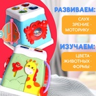 Музыкальная развивающая игрушка «Бизикубик», звуковые и световые эффекты - Фото 2