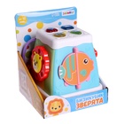 Музыкальная развивающая игрушка «Бизикубик», звуковые и световые эффекты - Фото 11