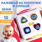 Музыкальная развивающая игрушка «Бизикубик», звуковые и световые эффекты - Фото 5