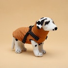 Куртка для собак со шлейкой, размер M (ДС 30, ОГ 40, ОШ 30 см), горчичная - Фото 1