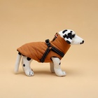 Куртка для собак со шлейкой, размер M (ДС 30, ОГ 40, ОШ 30 см), горчичная - Фото 2