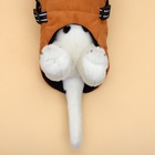 Куртка для собак со шлейкой, размер M (ДС 30, ОГ 40, ОШ 30 см), горчичная - Фото 5