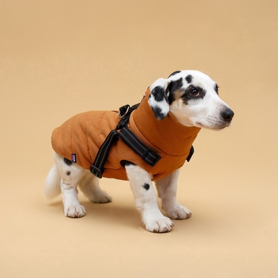 Куртка для собак со шлейкой, размер XL (ДС 40, ОГ 50, ОШ 40 см), горчичная