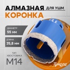 Коронка алмазная ТУНДРА, для УШМ, 55 х 35.8 мм, М14 10627832 - фото 25060618