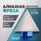 Фреза алмазная конусная ТУНДРА, 0 - 50 мм, для обработки мрамора, гранита и керамики 10627838 - фото 25060630