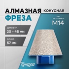 Фреза алмазная конусная ТУНДРА, 20 - 48 мм, для обработки мрамора, гранита и керамики 10627839 - фото 25060632