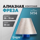 Фреза алмазная конусная ТУНДРА, 35 - 75 мм, для обработки мрамора, гранита и керамики - Фото 1