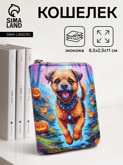 Кошелёк на молнии, синий, разноцветный