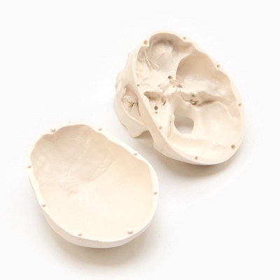 Анатомическая модель «Макет черепа человека», мини, 10×10 см