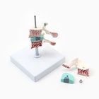 Анатомическая модель «Макет позвоночника в разрезе», 8×7 см - Фото 5