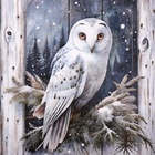 Декупажная карта "Совы на ветках", плотность 45 г/м2, формат А4 (комплект 5 шт) - фото 27120191