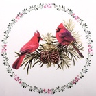 Декупажная карта "Кружочки с пожеланиями", плотность 45 г/м2, формат А4 (комплект 5 шт) - фото 27120203