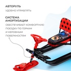 Снегокат «Тимка спорт 4-1 Леди Баг», с родительской ручкой, со спинкой и ремнём безопасности, ТС4-1/ЛБ1 Nika - Фото 4