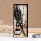 Набор подарочный 3в1 "Перо павлина": перьевая ручка, чернила, наконечники - Фото 1