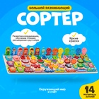 Большой развивающий набор для детей «Сортер. Окружающий мир и счёт» - Фото 1
