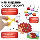 Развивающий набор «Сортер с шариками», по методике Монтессори, 3+ - Фото 3