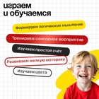 Развивающий набор «Сортер с шариками», по методике Монтессори, 3+ - Фото 5