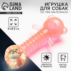 Жевательная игрушка для собак «Медвежонок», 9×4.5 см, светящаяся в темноте - Фото 1