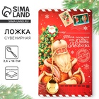 Ложка новогодняя с формовой ручкой «Твоя посылка от Деда Мороза», 2.7×14.5 см - Фото 1