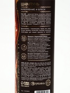 Подарочный набор: шампунь для волос 410 мл, бальзам для волос 410 мл, для сухих и поврежденных волос, URAL LAB - фото 809639850