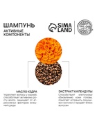 Подарочный набор: шампунь для волос 410 мл, бальзам для волос 410 мл, для сухих и поврежденных волос, URAL LAB - фото 809639836