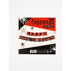 Набор подарочный для проведения хеллоуина "Страшно весело" - фото 809716476