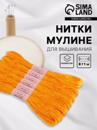 Набор ниток мулине №742, 8±1 м, 6 шт., светло-оранжевый - Фото 1