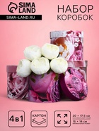 Набор шляпных коробок для цветов 4 в 1, упаковка подарочная, «Пионы», 20×17.5 - 16×14 см - Фото 1