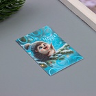 Открытка с семенами "Вырасти сам" "Чудес"  5*7см - фото 26964147