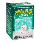 УЦЕНКА Набор для опытов «Снежный ночник», своими руками, МИКС - Фото 11