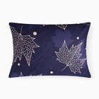 Наволочка «Этель. Осень», 50×70 см, бязь, хлопок 100% 10803692