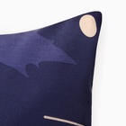 Наволочка «Этель. Осень», 70×70 см, бязь, хлопок 100% 10803693