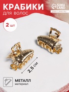 Крабики для волос QF «Авиталь», набор 2 шт., морковка, 2.5 см, золотистый - Фото 1