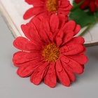 Цветы искусственные "Космея леди галант" 57х8 см, красный - фото 809122599