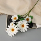 Цветы искусственные «Космея леди галант», 57×8 см, белые - Фото 2